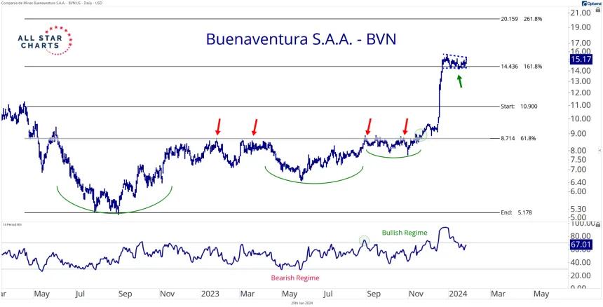 BVN