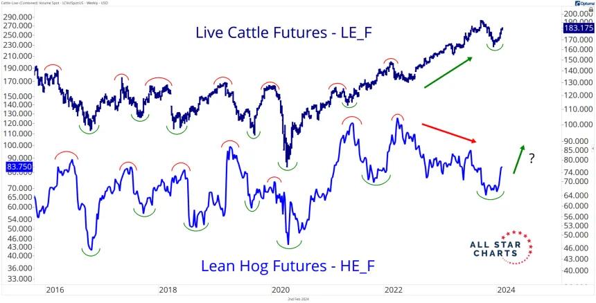 Cattle & Hogs (2.2.24)