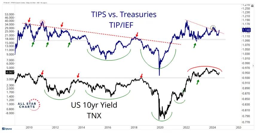 TIP/IEF