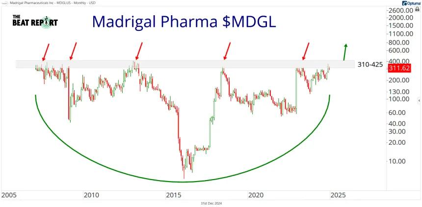 MDGL Chart (12.31.2024)