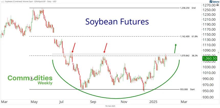 Soybean Futures Chart (02.07.2025)