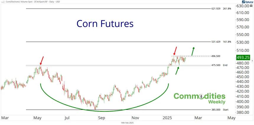 Corn Futures (02.14.2025)