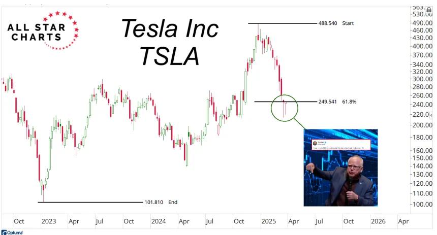 TSLA Chart (03.24.2025)