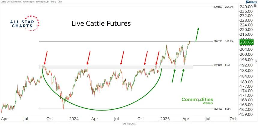 Live Cattle Futures (05.02.2025)
