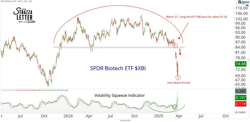 xbi