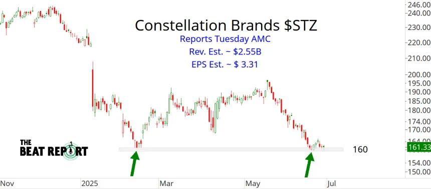 STZ Chart (06.28.2025)