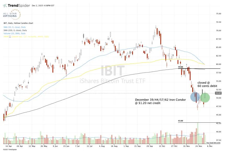 one-year chart of IBIT